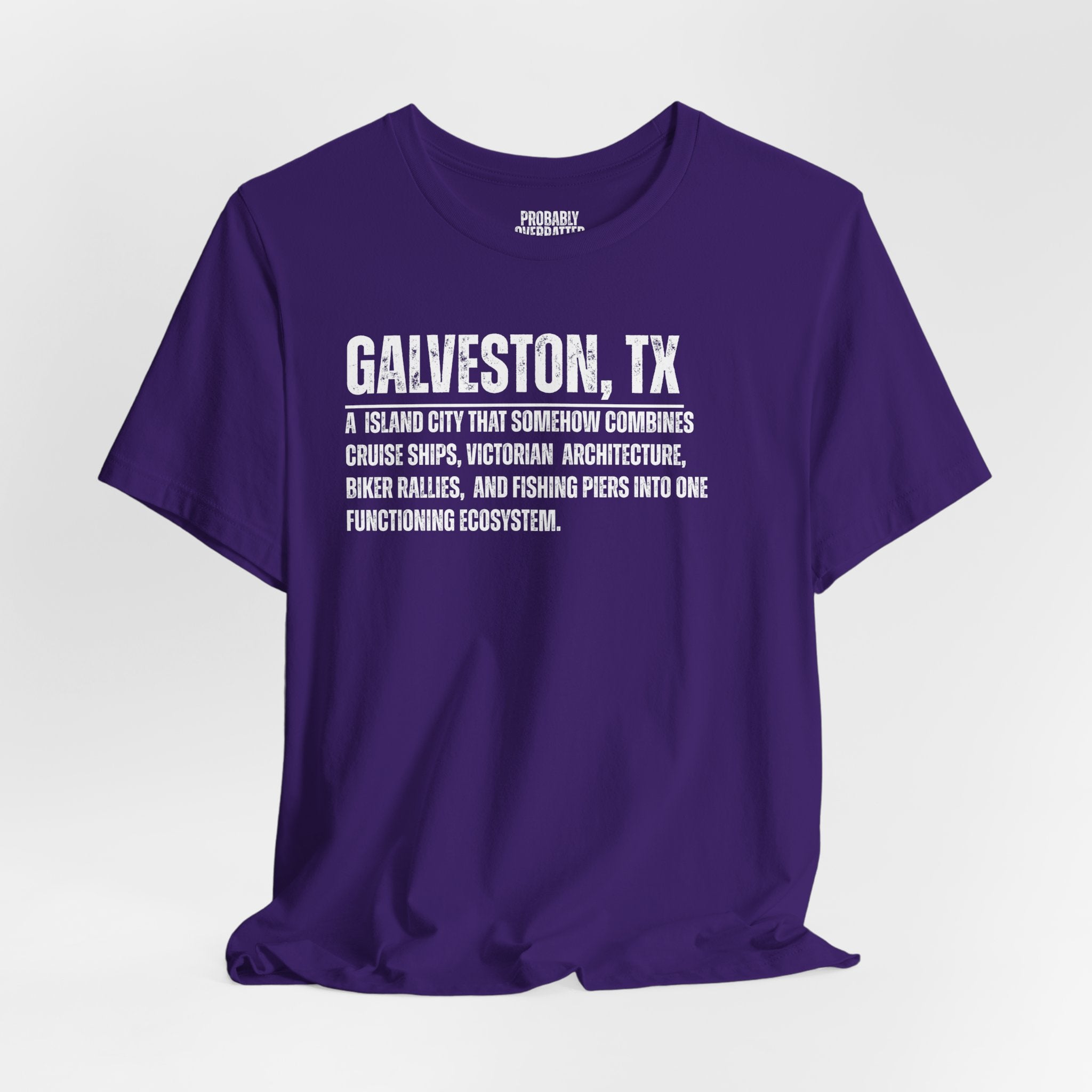 Galveston Definition T-Shirt